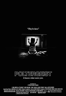 دانلود فیلم پولترگیست Poltergeist 1982 ✔️ دوبله و زیرنویس فارسی