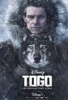 دانلود فیلم توگو Togo 2019 ✔️ دوبله و زیرنویس فارسی