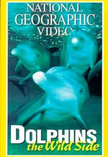 دانلود فیلم دلفین‌های وحشی 1999 Dolphins: The Wild Side ✔️ دوبله و زیرنویس فارسی