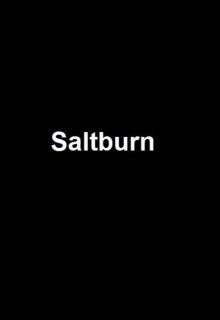 دانلود فیلم سالتبرن Saltburn 2023 ✔️ زیرنویس فارسی