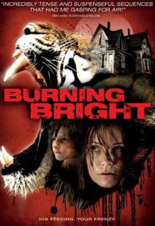 دانلود فیلم آتش درخشان 2010 Burning Bright ✔️ زیرنویس فارسی