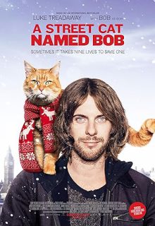 دانلود فیلم گربه خیابانی به نام باب 2016 A Street Cat Named Bob زیرنویس فارسی