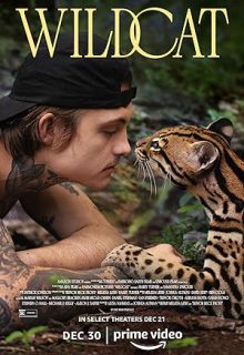 دانلود فیلم گربه وحشی 2022 Wildcat زیرنویس فارسی